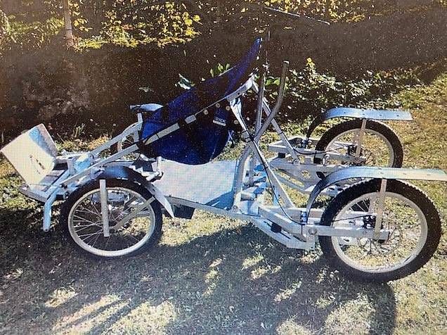 Rimorchi: KART DYCK LENNO 60 pour chiens – Usato da Aigle venduto da tac_2hkp 3