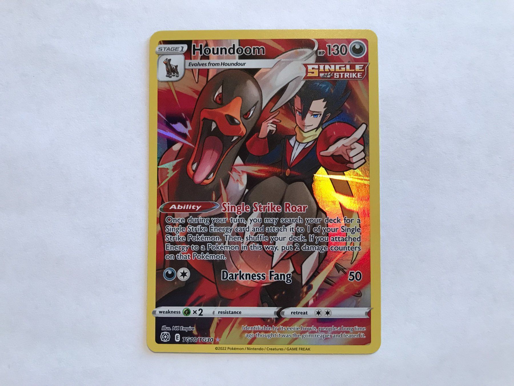 Pokémon Carte collezionabili: Houndoom Fullart Brilliant Stars EN – Nuovo (secondo la descrizione) da Hagendorn venduto da Pokecollectorch 1