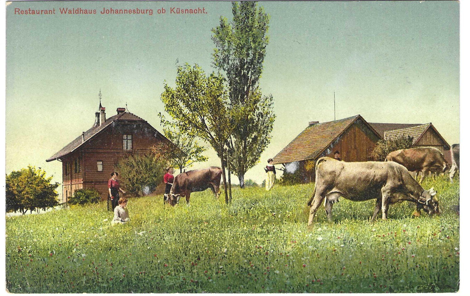 Cartoline postali: Küsnacht, Waldhaus – Nuovo (secondo la descrizione) da Wildhaus venduto da Brunphil