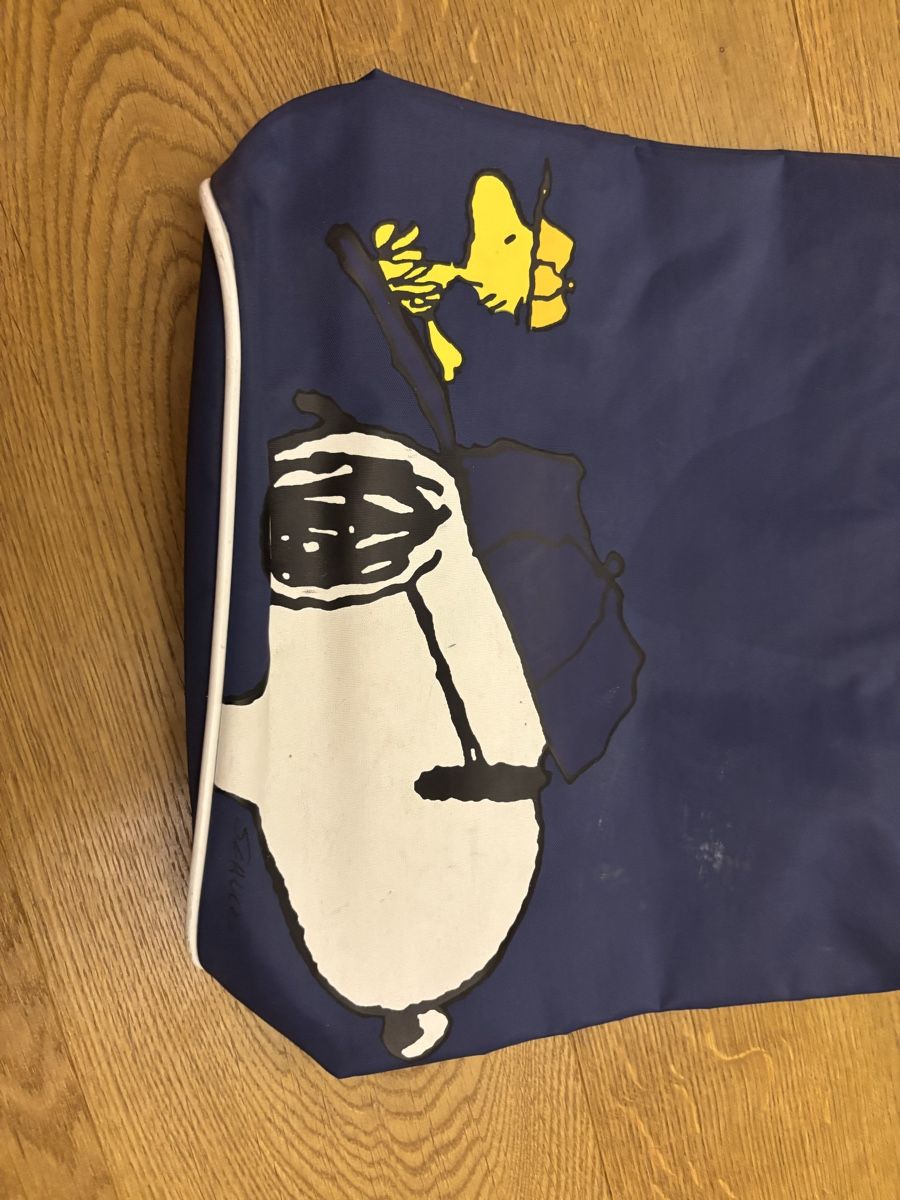 Borse: Snoopy Tasche – Usato da Würenlos venduto da Ashley24 1