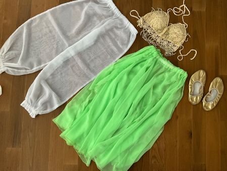 Belly dancing pants, top, shoes & skirt