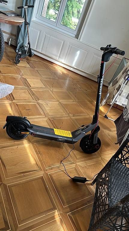 Segway Kickboard: E-Trotti (E-Scooter) Segway E3 Pro – Usato da Dornach venduto da YouRee 1