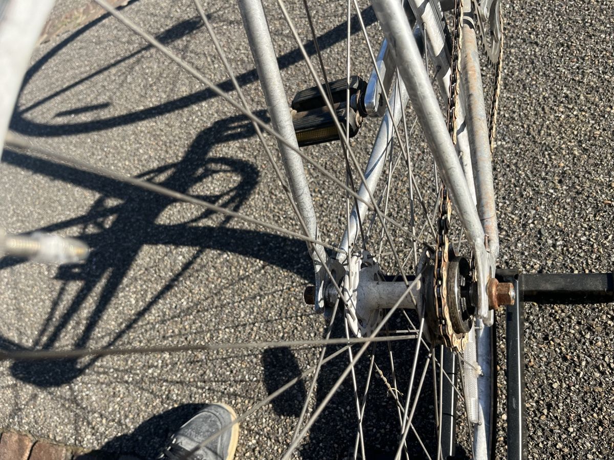 Velos: SWOBO Sanchez Singlespeed Velo Silber gebraucht – Gebraucht aus Trimbach von ypluess 5