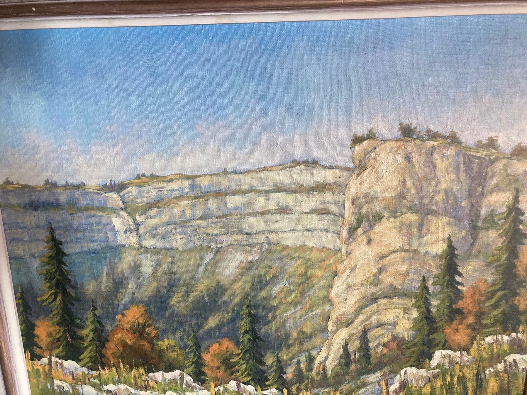 Dipinti: Tableau représentant le Creux-du-Van – Usato da La Chaux-de-Fonds venduto da venteperso5 1