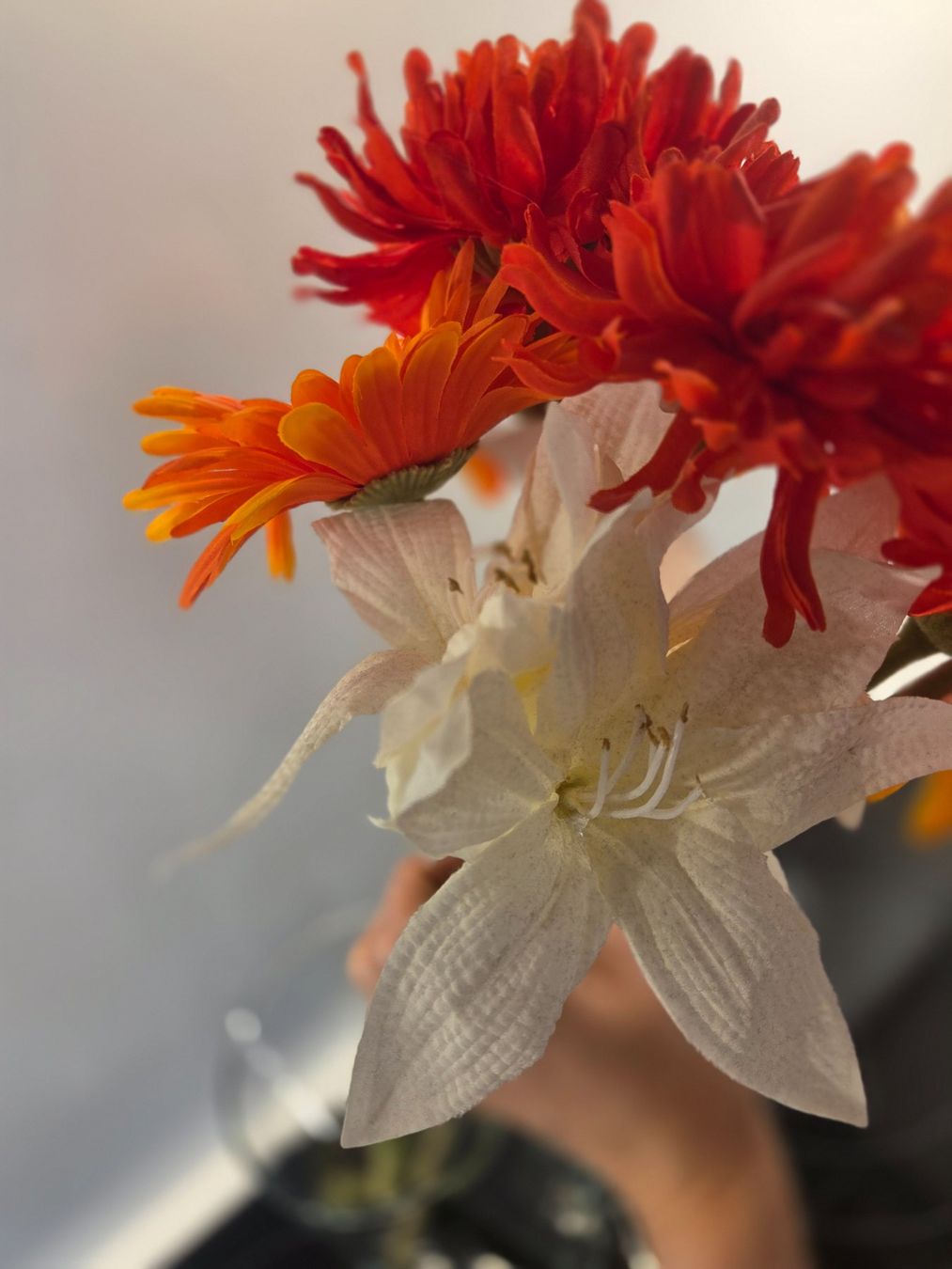 Plantes & graines: Blumen – D'occasion à Zürich par Lela-Mirela 1