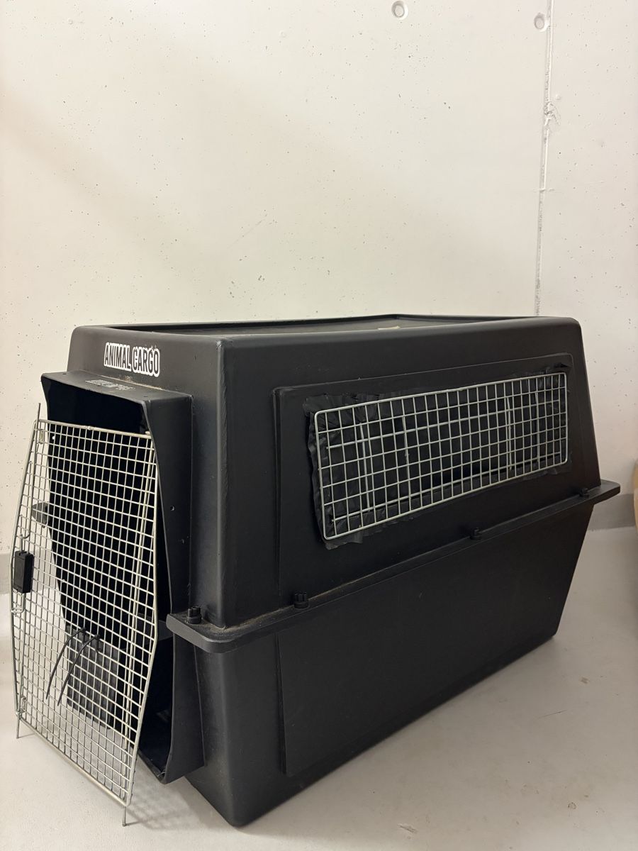 Gabbie, trasporto & Sicurezza: Transportbox Animal Cargo – Usato da Rupperswil venduto da paealarcon 1