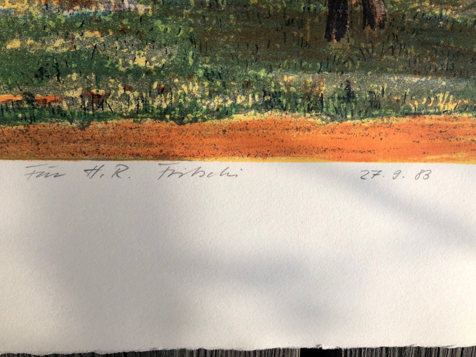Grafica & Litografie: Lithographie von Hansjörg Flückiger 1983 – Usato da Winterthur venduto da Barunggeli 8