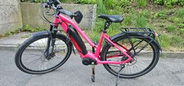 Ebike Flyer Upstreet 5   45kmh
