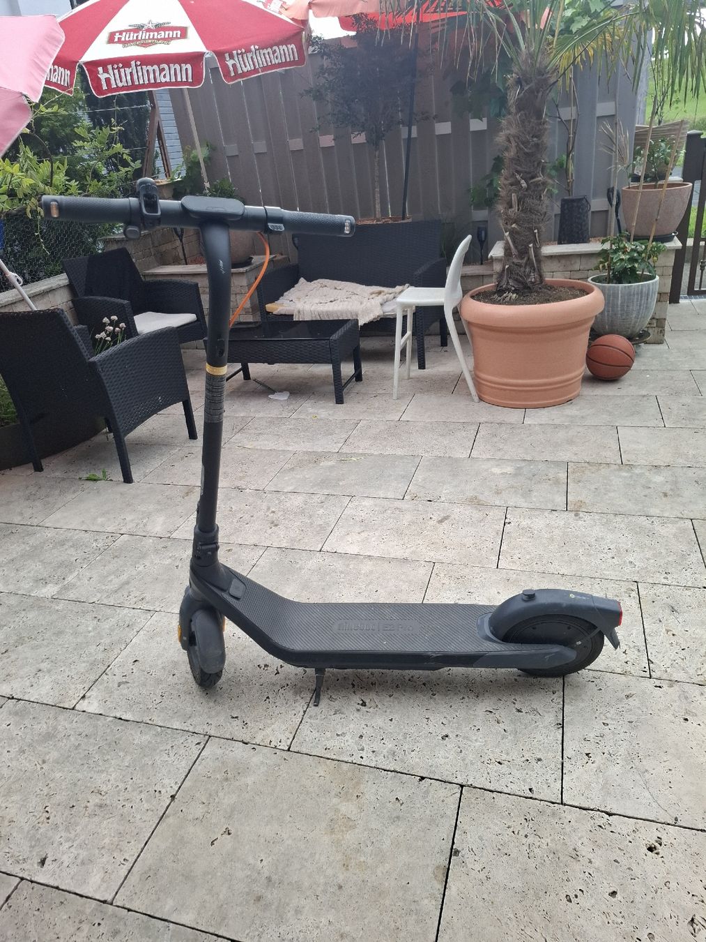 Scooter: E scooter – Usato da Buttikon SZ venduto da Bucco