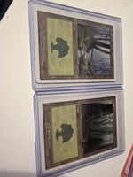 Magic The Gathering Karten Wald 2er Set guter Zustand