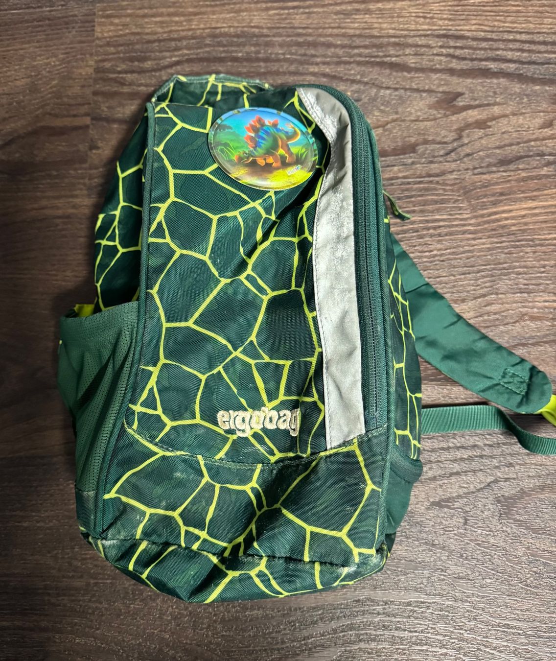 Ergobag Borse & Zaini: ERGOBAG Schulrucksack-  Sehr gut erhalten, komplett! – Usato da Hünenberg venduto da Robe0 2