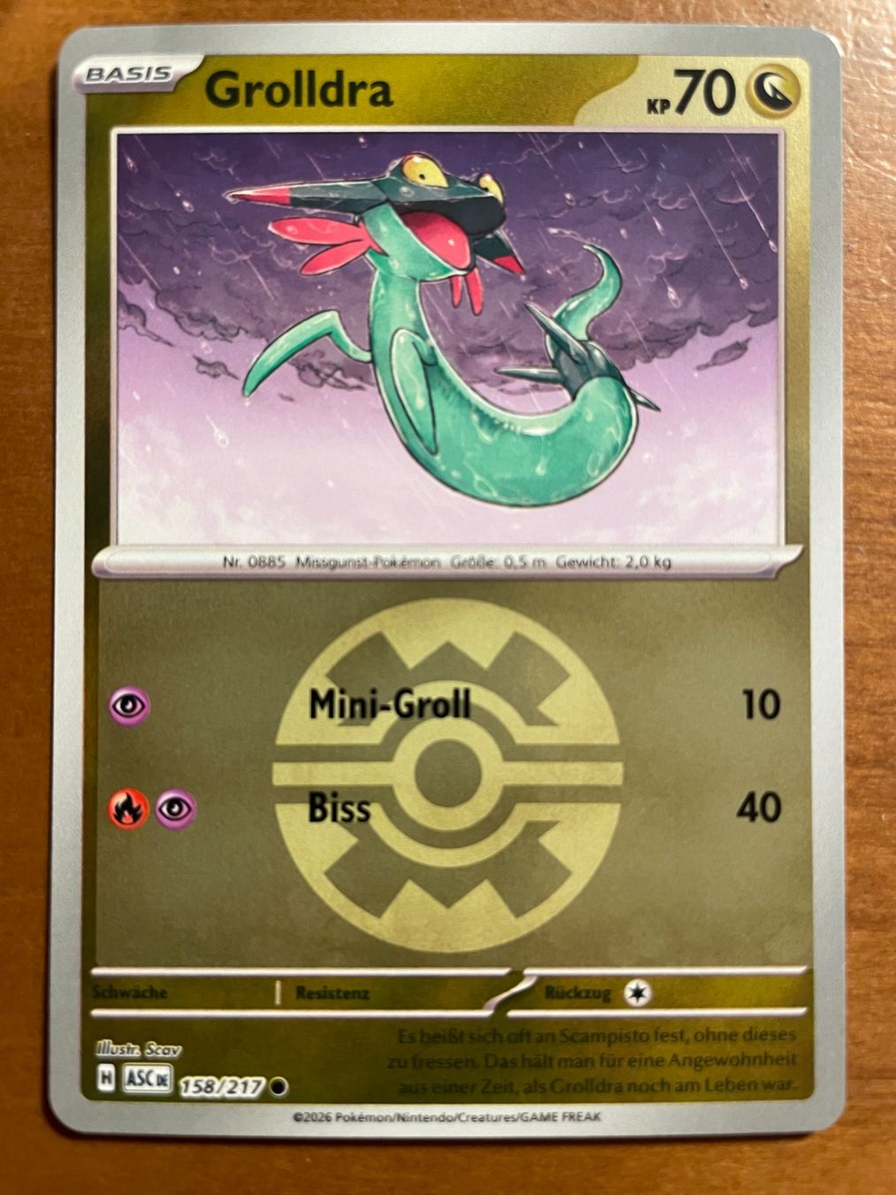 Pokémon Carte collezionabili: Pokemon Grolldra Reverse (Versand gratis) – Nuovo (secondo la descrizione) da Chur venduto da Angerson