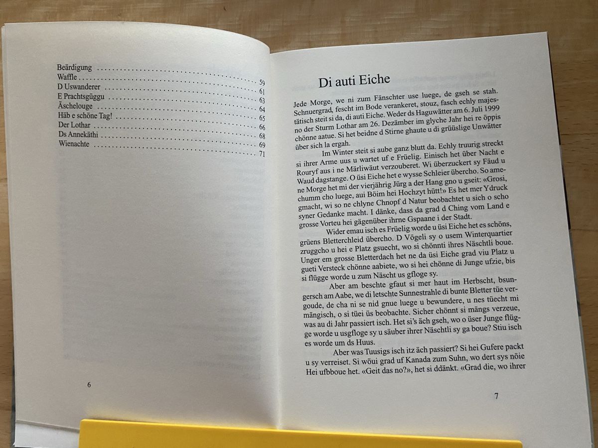 Libri: Züpfe u Suppe / Gschichte - Hanni Salvisberg – Usato da Schwarzenburg venduto da Michellu 6