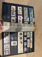Stamp Album with Various Stamps