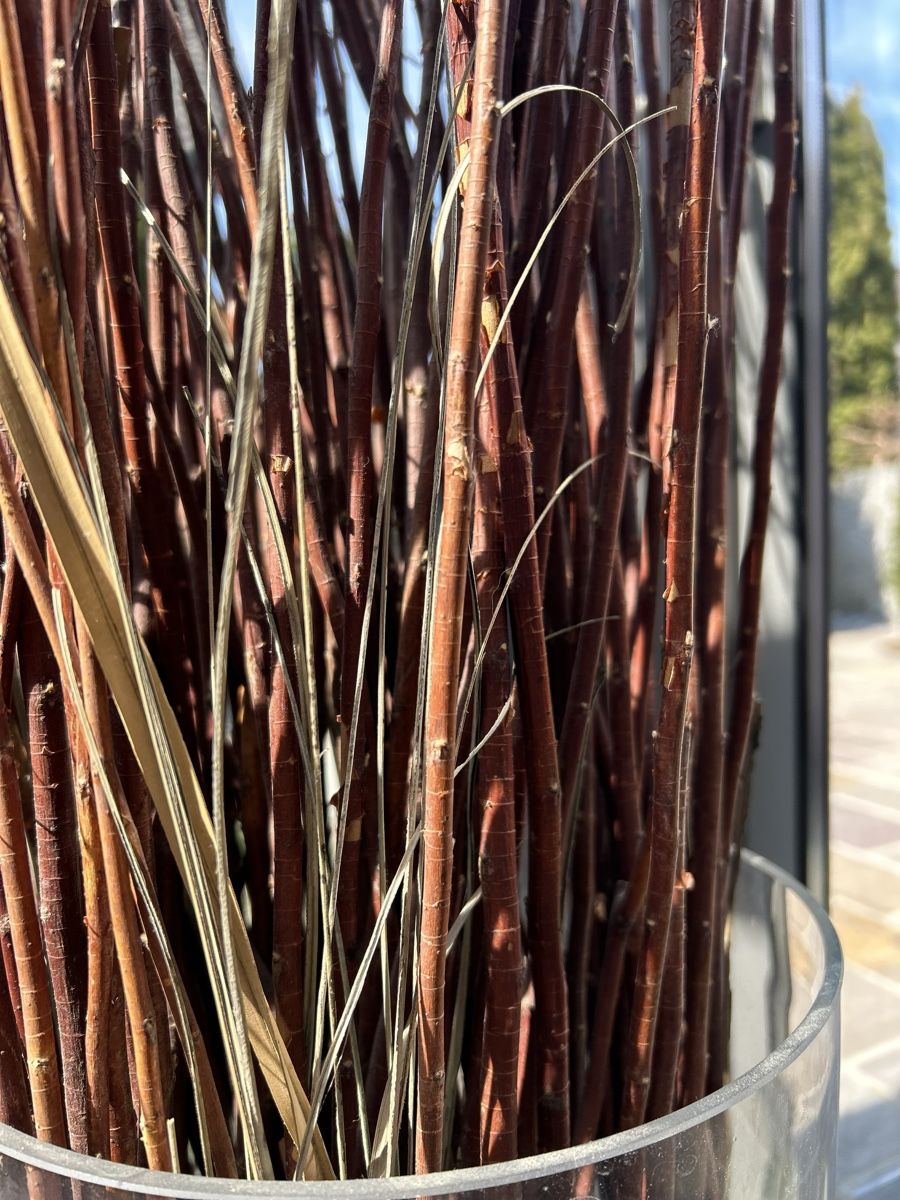 Tutte le decorazioni: Deko Zweige/Äste samt Vase – Usato da Mägenwil venduto da afiloni84 1