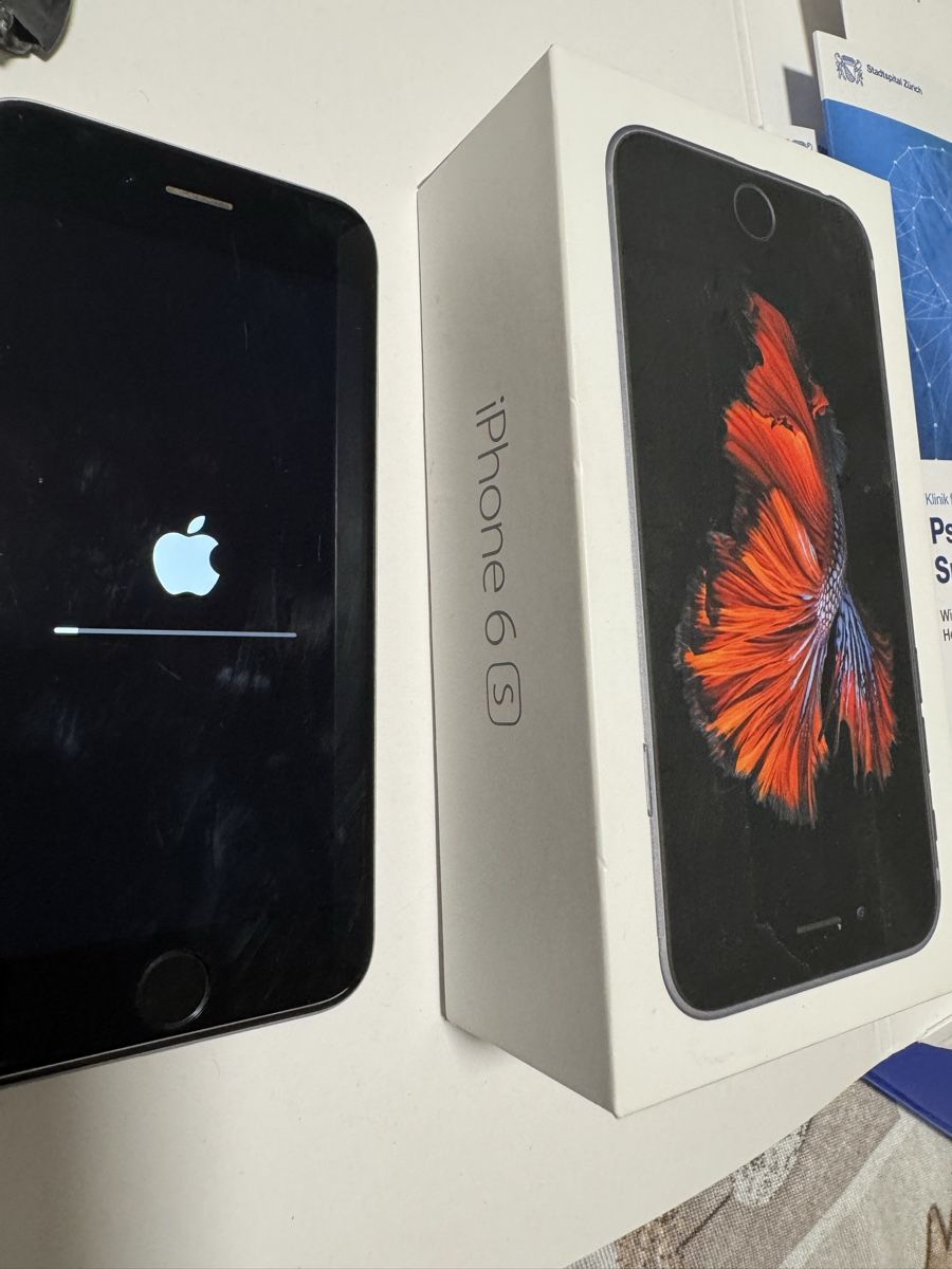 Apple Telefoni cellulari / Smartphones: iPhone 6s 16GB Space Gray mit Box – Usato da St. Margarethen TG venduto da Apple_Lovers 2