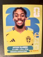 Panini 2026 SWE18