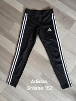 Adidas Trainerhose / Leggins 152