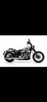 Harley-Davidson Street Bob 117  2026 | Neuwertig |