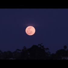 Profile image of Hiltonhead