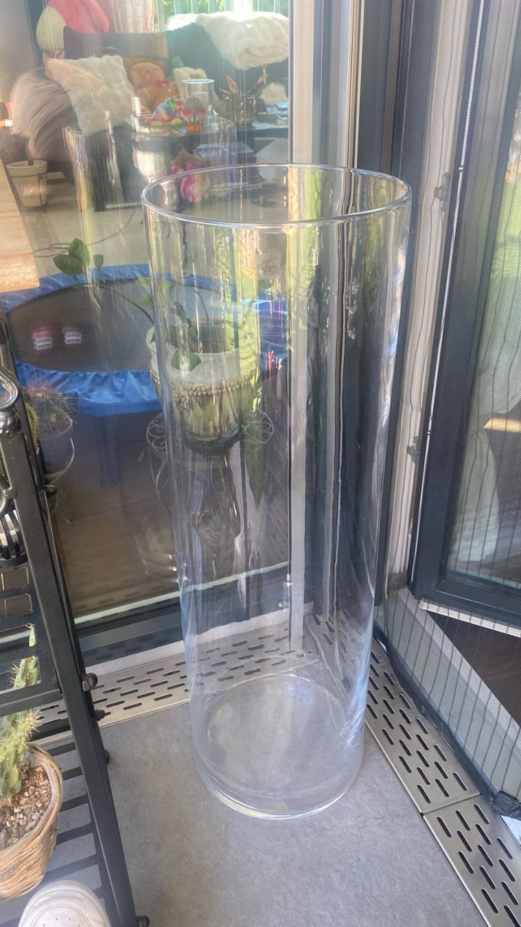 Vasi & Recipienti: Glasvase 80 cm hoch – Usato da Obfelden venduto da Lia-Lia