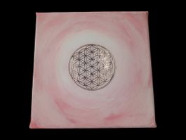 Bild rosa