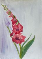 Maria Fischer Walpen, Aquarell, Gladiolen, Blumen