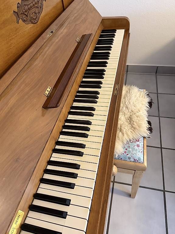 Strumenti musicali: Klavier W.Bach & Co. Berlin – Usato da Aesch BL venduto da Shiva84 4
