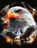 Diamond Painting: Adler 40x50cm