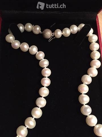 Perle (finte): Perlenkette/Collier Süsswasserzuchtperle – Nuovo (secondo la descrizione) da Lachen SZ venduto da stettnic 1