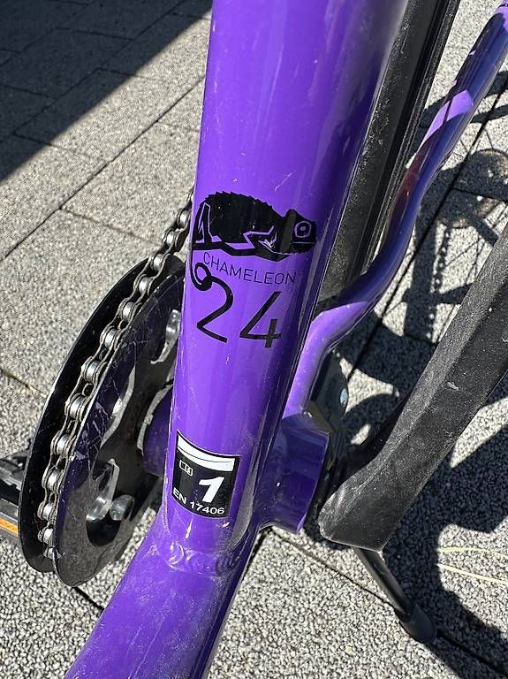 Velos: Kindervelo NALOO 24 Zoll - Chameleon – Gebraucht aus Brügglen von Mim1 3