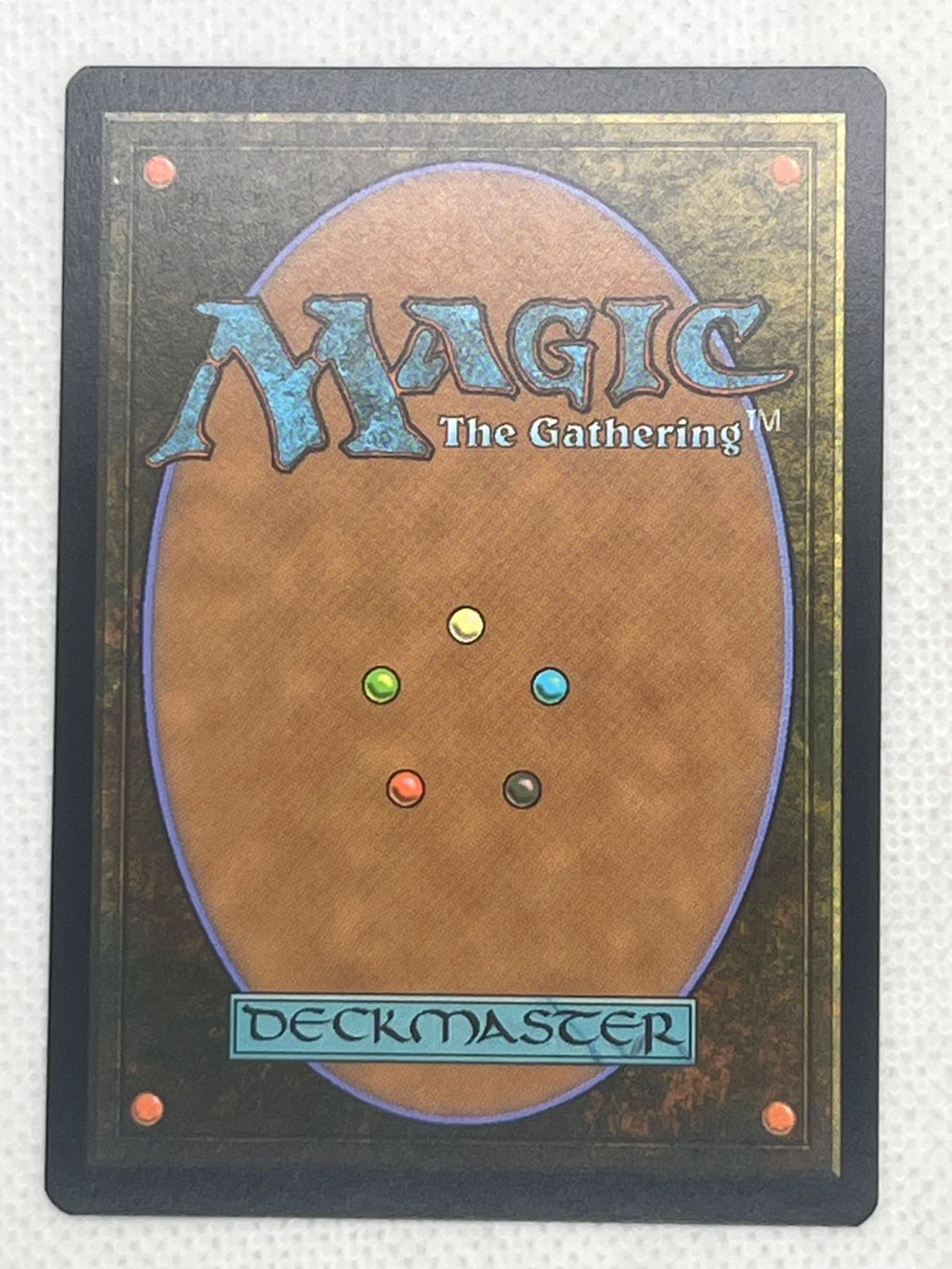 Magic The Gathering Sammelbilder & Trading cards: MTG Soaring Drake DMU 066 Englisch Common – Gebraucht aus Hinterkappelen von Kim1992 1