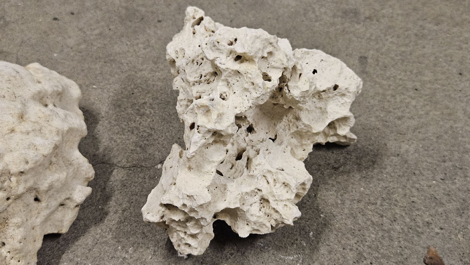 Acquari: Pierre calcaire aquarium 20kg – Nuovo (secondo la descrizione) da Avenches venduto da Chorizo02 7