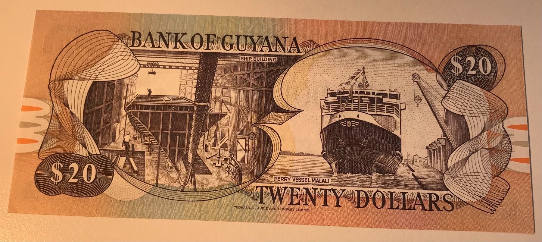 Banconote: Guyana 20 Dollars Neuwertig – Nuovo (secondo la descrizione) da Algetshausen venduto da Carrhard 1