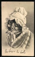 AK Katze mit Brille und Haube, 1903