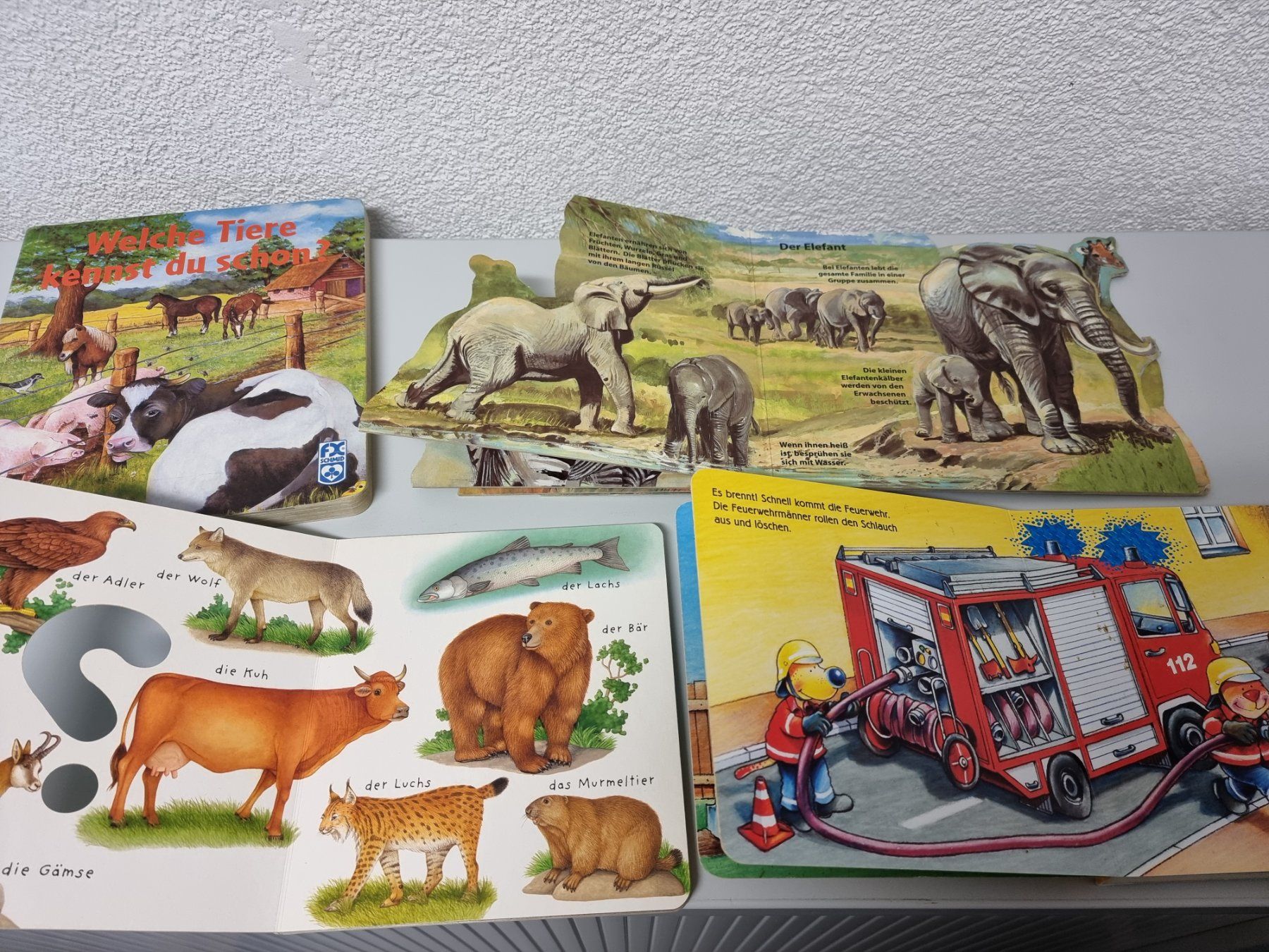 Libri: Kinderbücher  Bücher  5 Stk. – Usato da Hinwil venduto da Fransim 6