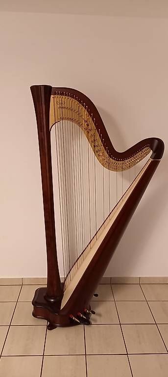 Musikinstrumente: Arpa Salvi Daphne EX 47 corde  – Gebraucht aus Gordola von ilg_mz77