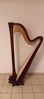 Arpa Salvi Daphne EX 47 corde 