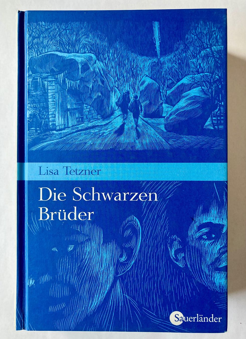 Libri: Lisa Tetzner - Die Schwarzen Brüder – Usato da Bubendorf venduto da Alpenheidi
