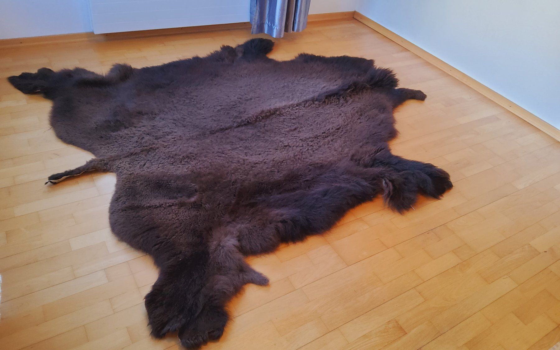 Monde des animaux: BisonFell (Echt) – Neuf (Voir description) à Ruggell par Tim-Werk