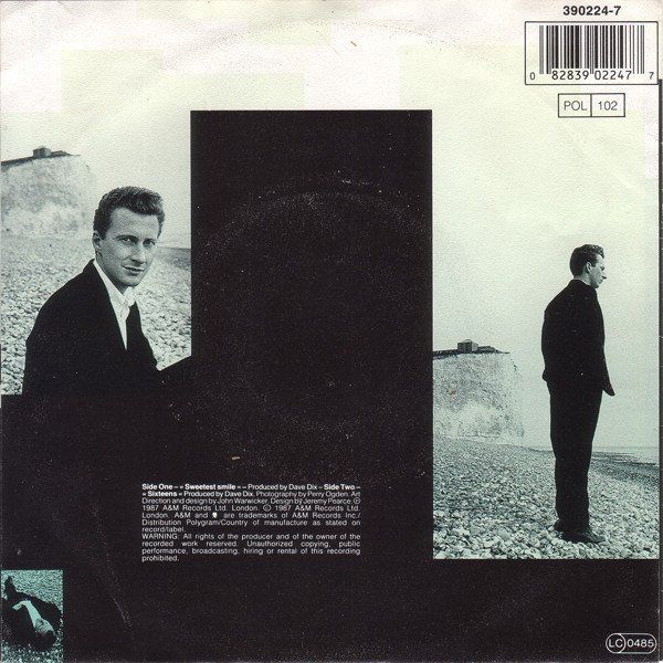Vinyles: Black: Sweetest Smile 7" – D'occasion à Steinhausen par Vilivinili 1