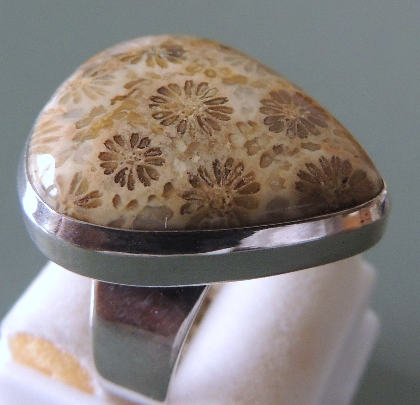 Anelli: Fossile Koralle Silber 925 Fingerring – Nuovo e nell'imballaggio originale da Waldenburg venduto da schaller707 3