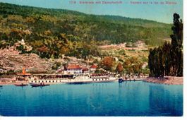 Bielersee mit Dampfschiff 1917