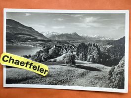 Risch am Zugersee, Kurhaus Waldheim, 3. Juli 1933, Top!