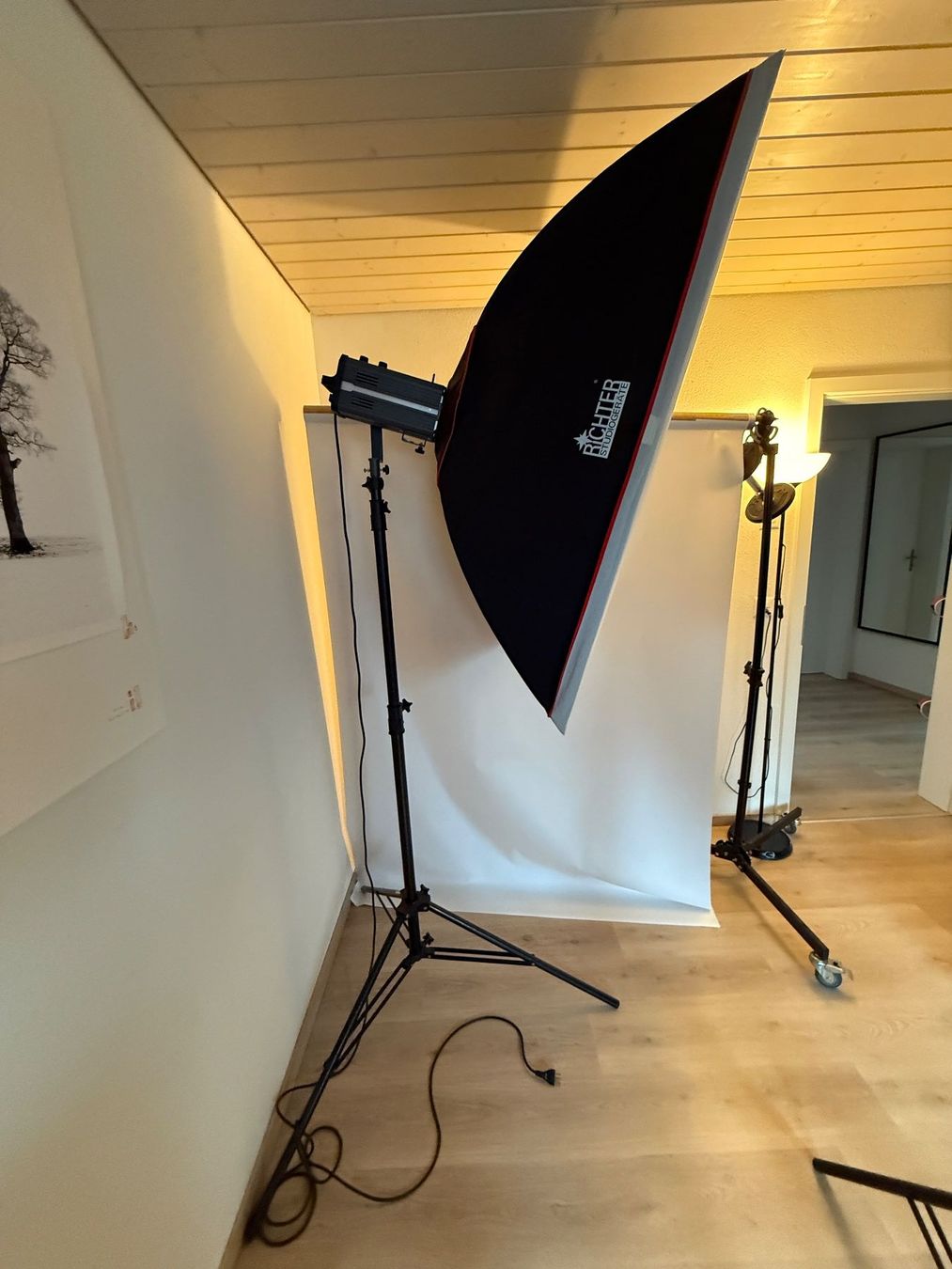 Labor & Dunkelkammer: Richter Photo Studio Set, 2 full lamps. – Gebraucht aus Domdidier von fdecourt 3
