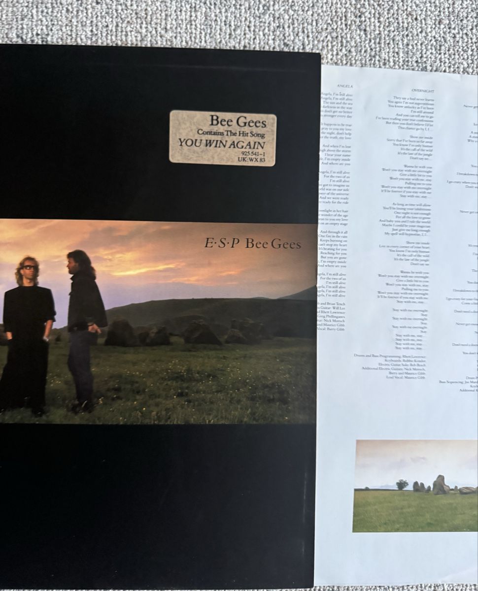 Dischi in vinile: Bee Gees - E.S.P. - LP - 80s – Usato da Rorbas venduto da BlackstarRecords 2
