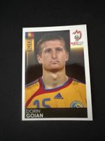 Panini UEFA EM 2008 Sticker - Nr. 315