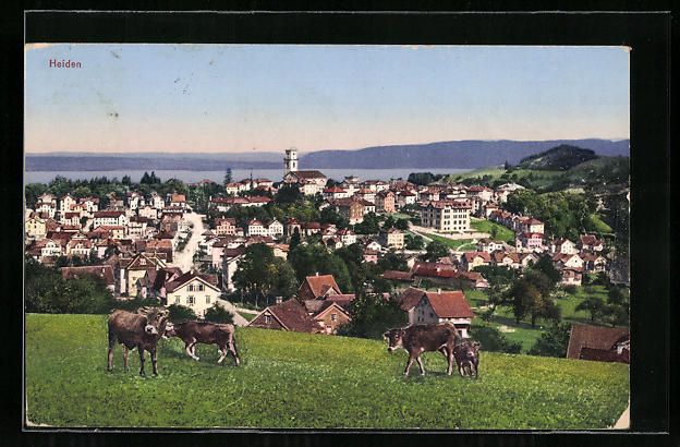 Cartoline postali: AK Heiden, Ortsansicht mit Kuhweide – Usato da Berlin venduto da bartko-reher