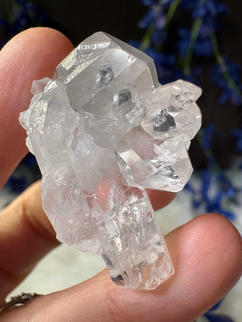 Minerali & Pietre curative: Lemurian-Quarz-Cluster – Nuovo (secondo la descrizione) da Neuheim venduto da m.hald 1