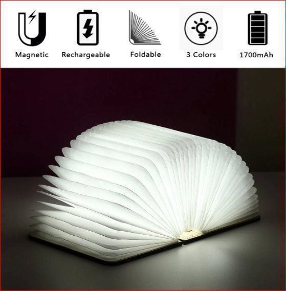 Lampade: Buchleuchte LED hell weiss und warmweiss – Nuovo e nell'imballaggio originale da Burgdorf venduto da XJ6 5